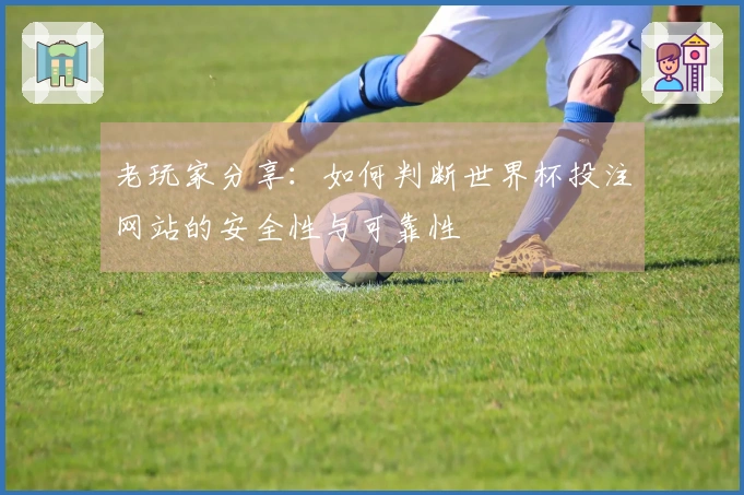 老玩家分享：如何判断世界杯投注网站的安全性与可靠性