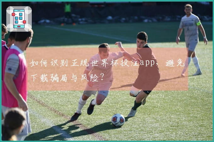 如何识别正规世界杯投注app，避免下载骗局与风险？