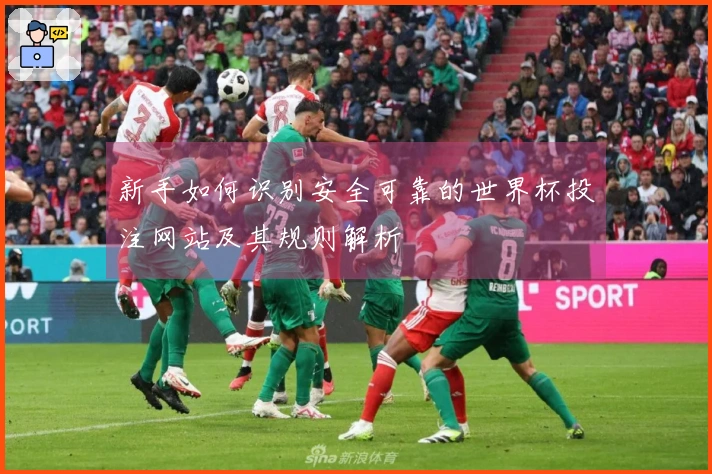 新手如何识别安全可靠的世界杯投注网站及其规则解析