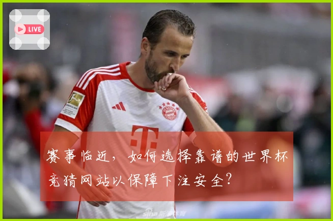 赛事临近，如何选择靠谱的世界杯竞猜网站以保障下注安全？