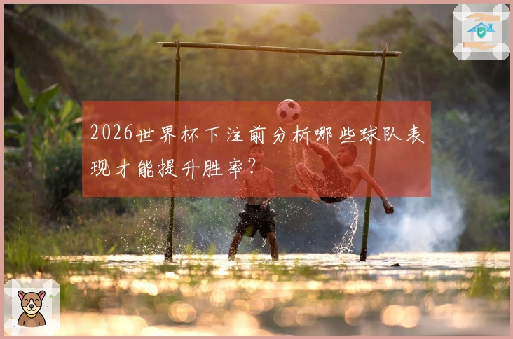 2026世界杯下注前分析哪些球队表现才能提升胜率？