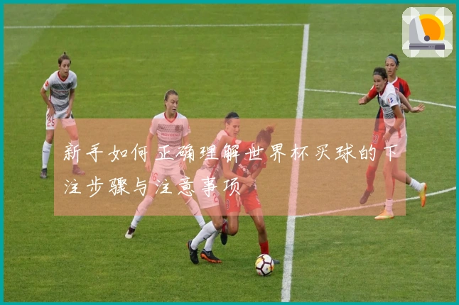 新手如何正确理解世界杯买球的下注步骤与注意事项