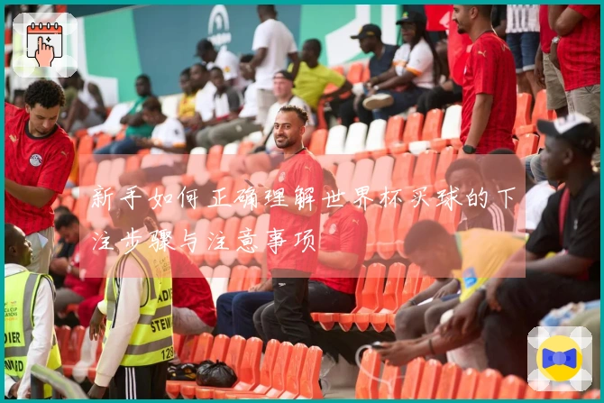 新手如何正确理解世界杯买球的下注步骤与注意事项