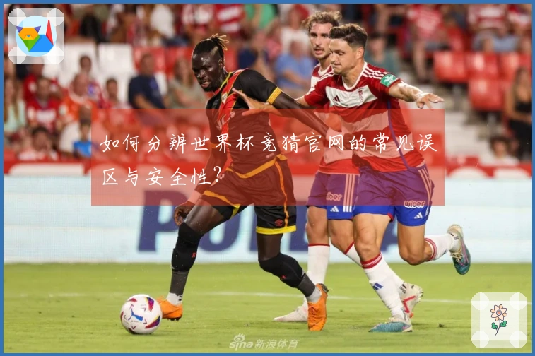 如何分辨世界杯竞猜官网的常见误区与安全性？