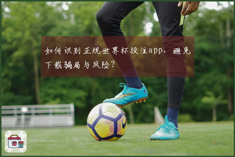 如何识别正规世界杯投注app，避免下载骗局与风险？